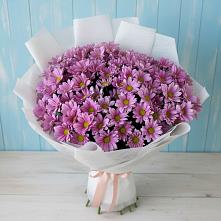 Букет цветов из:  Хризантемы #REPLACE_PRED# Выкса